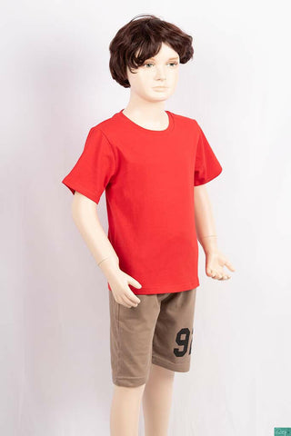 Boy's round neck regular fit short sleeve T-shirts.