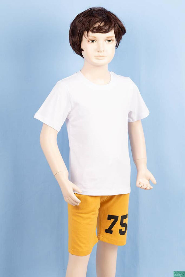 Boy's round neck regular fit short sleeve T-shirts.