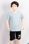 Boy's round neck regular fit short sleeve T-shirts.
