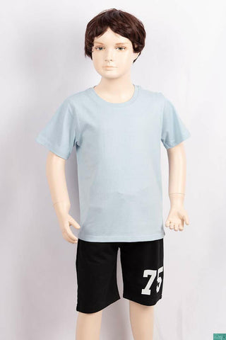 Boy's round neck regular fit short sleeve T-shirts.