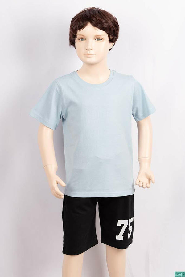 Boy's round neck regular fit short sleeve T-shirts.