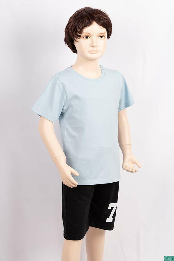 Boy's round neck regular fit short sleeve T-shirts.