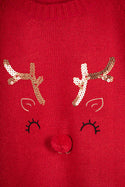 Girl's Knit Sweater