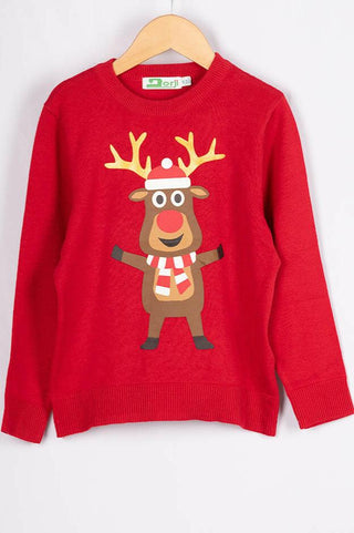 Unisex Christmas themed with a cute reindeer full sleeve regular fit sweater