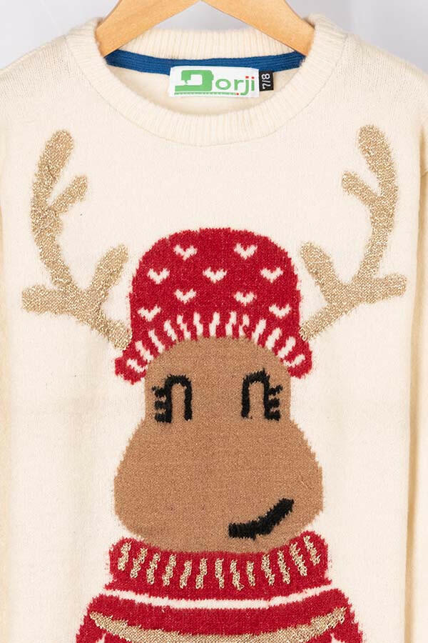 Boys full sleeve crew neck knit sweater in Off white with red cap reindeer.