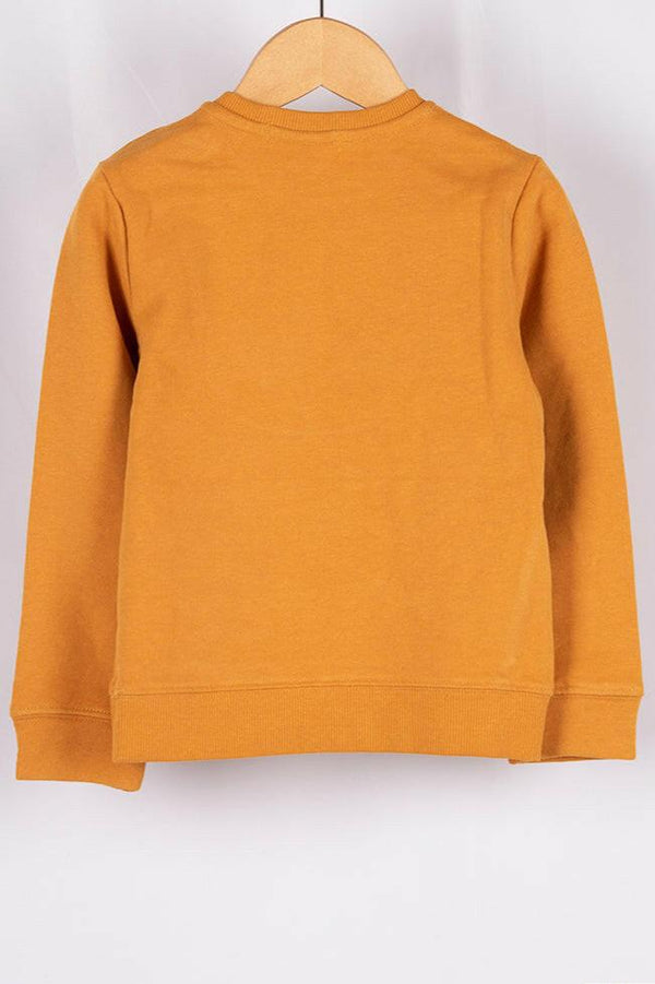 Boy's Crew neck casual fit full sleeve Batman jumper in Mustard Yellow.