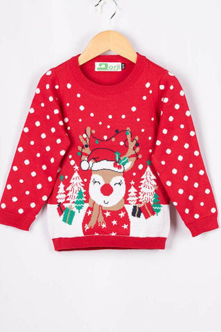 Unisex full sleeve round neck regular fit Christmas reindeer knit sweater.