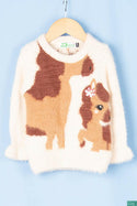 Kids full sleeve round neck regular fit Kids woolly soft knit sweater.