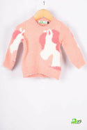 Girls full sleeve round neck regular fit knit Pink pony sweater.