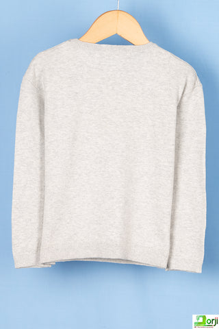 Boy's full sleeve slim fit crew neck Bye Sequence Sweater in Ash.