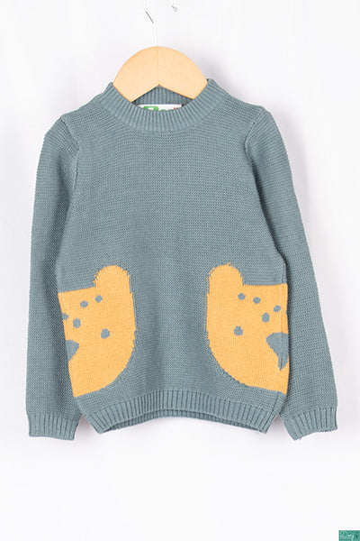 Boy's cute full sleeve casual fit knitwear in Pastel Blue with yellow Pooh.